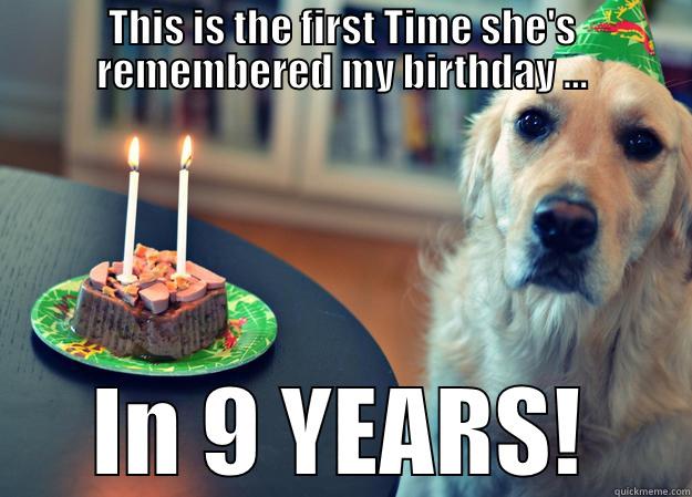 A Dog's Life - THIS IS THE FIRST TIME SHE'S REMEMBERED MY BIRTHDAY ... IN 9 YEARS! Sad Birthday Dog