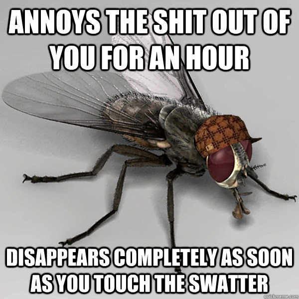 annoys the shit out of you for an hour disappears completely as soon as you touch the swatter   Scumbag Fly