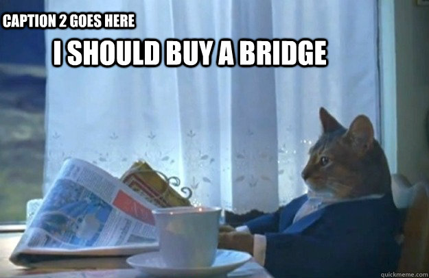 I should buy a bridge  Caption 2 goes here  Sophisticated Cat