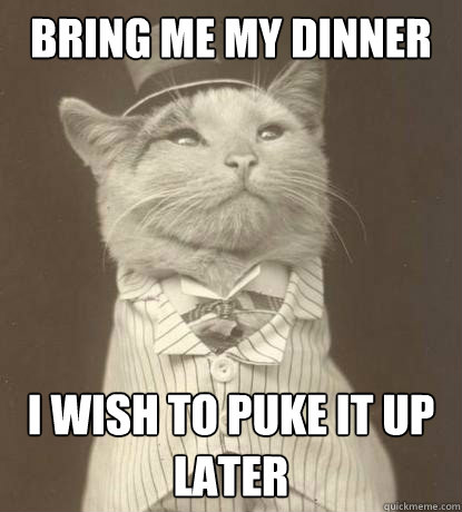 Bring me my dinner i wish to puke it up later  Aristocat