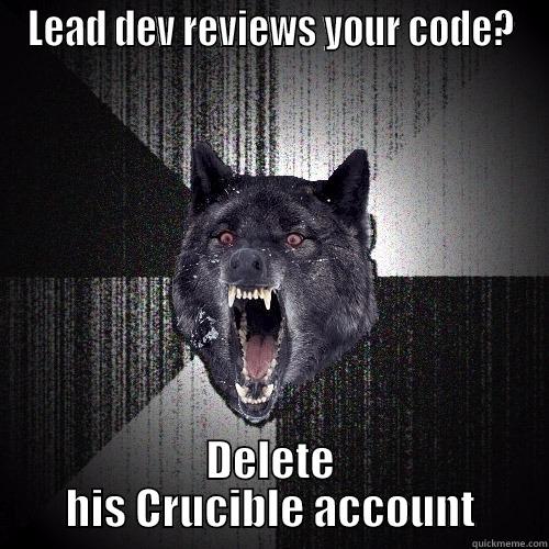 LEAD DEV REVIEWS YOUR CODE? DELETE HIS CRUCIBLE ACCOUNT Insanity Wolf
