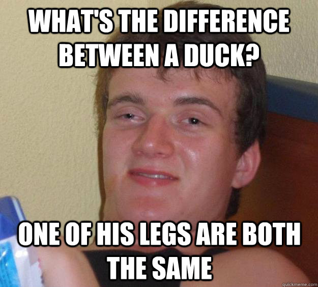 What's the difference between a duck? one of his legs are both the same  10 Guy