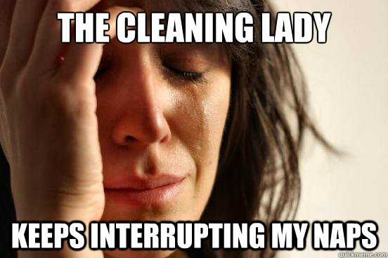 The Cleaning Lady Keeps Interrupting My Naps - The Cleaning Lady Keeps Interrupting My Naps  First World Problems