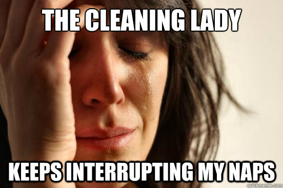 The Cleaning Lady Keeps Interrupting My Naps  First World Problems