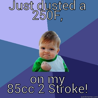 4 strokes suck. - JUST DUSTED A 250F, ON MY 85CC 2 STROKE! Success Kid