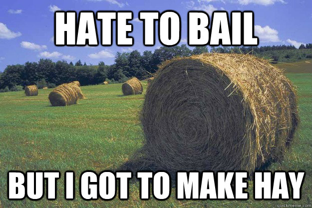 HATE TO BAIL BUT I GOT TO MAKE HAY - HATE TO BAIL BUT I GOT TO MAKE HAY  bail hay pun meme