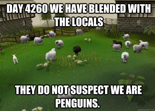 Day 4260 We have blended with the locals  They do not suspect we are penguins.  incognito