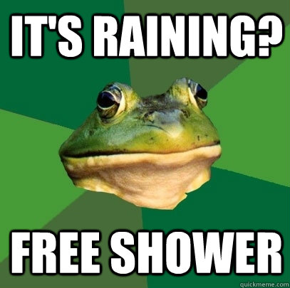 It's raining? Free shower  Foul Bachelor Frog