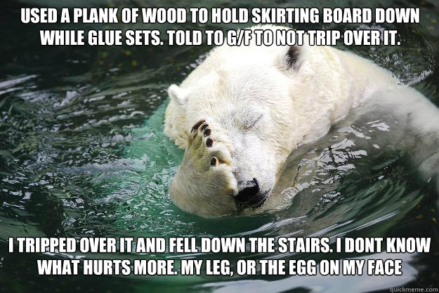 Used a plank of wood to hold skirting board down while glue sets. Told to G/F to not trip over it. I tripped over it and fell down the stairs. I dont know what hurts more. My leg, or the egg on my face   Embarrassed Polar Bear