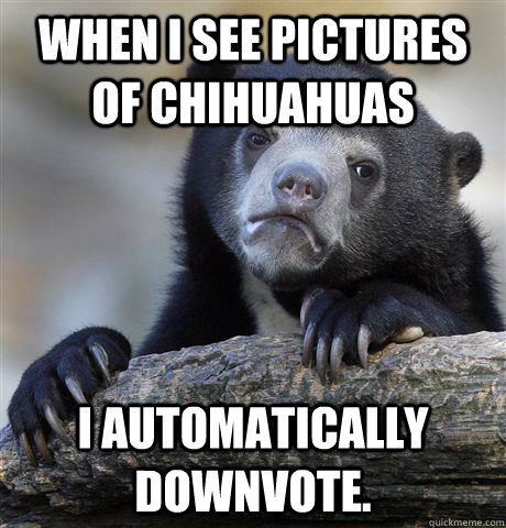 When i see pictures of Chihuahuas I automatically downvote.  Confession Bear
