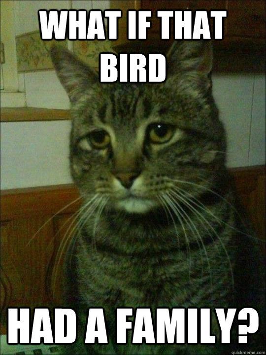 What if that bird had a family?  Depressed cat