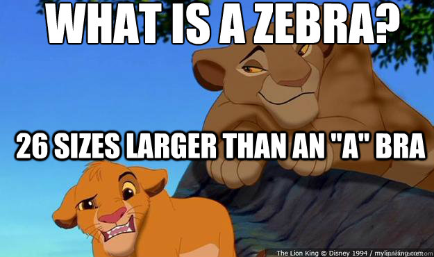  What is a zebra?
 26 sizes larger than an 