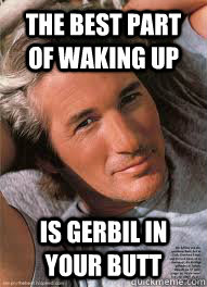The best part of waking up Is gerbil in your butt - The best part of waking up Is gerbil in your butt  Richard Gere