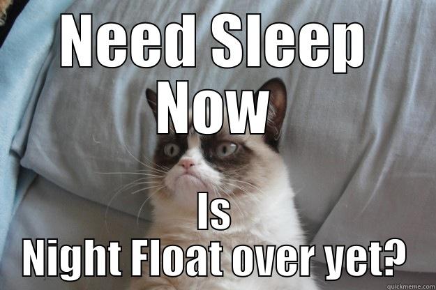 NEED SLEEP NOW IS NIGHT FLOAT OVER YET? Grumpy Cat