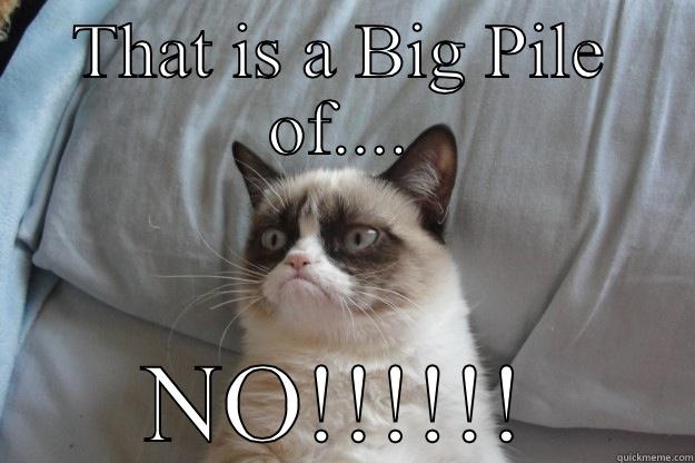 What do I think of teamwork? - THAT IS A BIG PILE OF.... NO!!!!!! Grumpy Cat