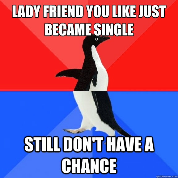 Lady friend you like just became single Still don't have a chance  Socially Awksome Penguin