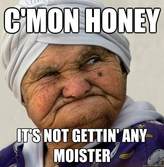 c'mon honey it's not gettin' any moister - c'mon honey it's not gettin' any moister  Moist Old Lady