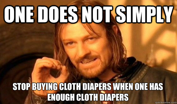 ONE DOES NOT SIMPLY STOP BUYING CLOTH DIAPERS WHEN ONE HAS ENOUGH CLOTH DIAPERS  One Does Not Simply