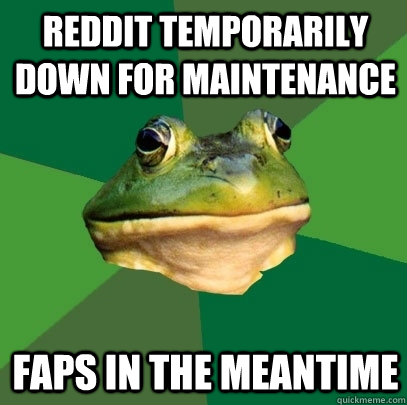 reddit temporarily down for maintenance faps in the meantime  Foul Bachelor Frog