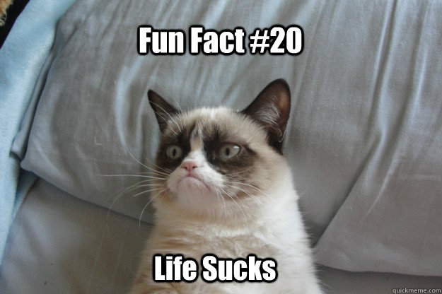 Fun Fact #20 Life Sucks  tard grumpy cat