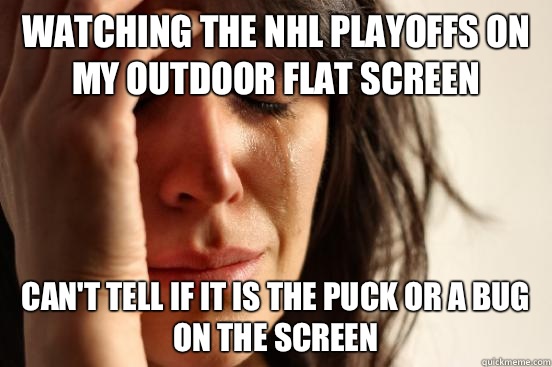 Watching the NHL playoffs on my outdoor flat screen Can't tell if it is the puck or a bug on the screen  First World Problems