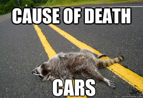 Cause of death Cars  