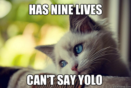 has nine lives can't say yolo  First World Problems Cat