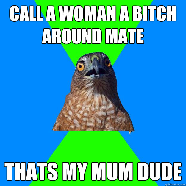 call a woman a bitch around mate thats my mum dude - call a woman a bitch around mate thats my mum dude  Hawkward