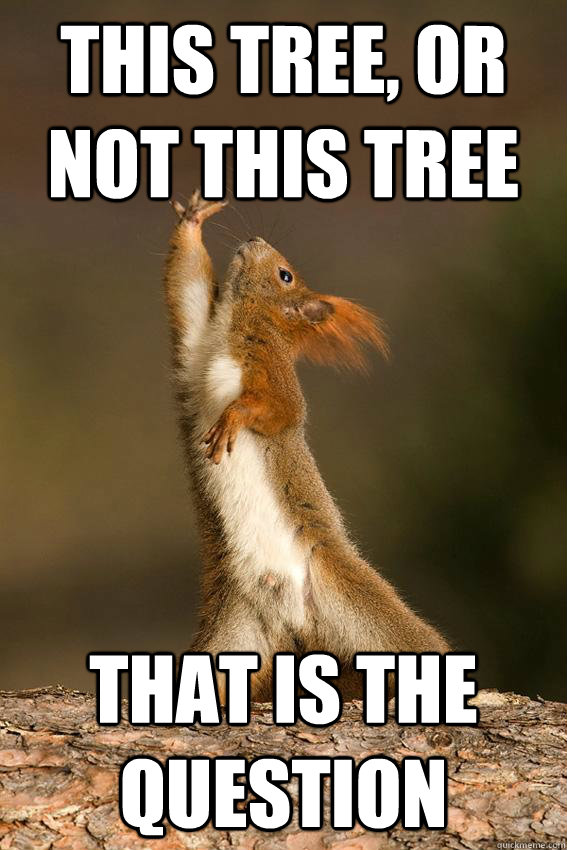 This tree, or not this tree that is the question - This tree, or not this tree that is the question  Shakespeare Squirrel