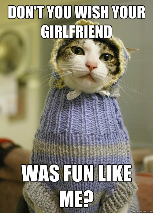 don't you wish your girlfriend was fun like me?  Spinster Cat
