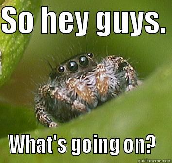 SO HEY GUYS.  WHAT'S GOING ON?  Misunderstood Spider