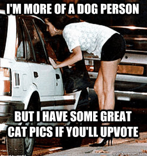 I'm more of a dog person but i have some great cat pics if you'll upvote  Karma Whore