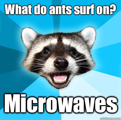 What do ants surf on? Microwaves  Lame Pun Coon