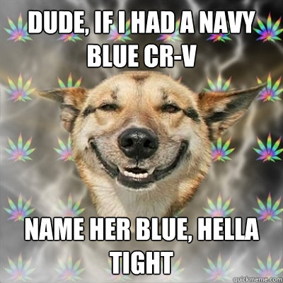 DUDE, If i had a navy blue cr-v name her blue, hella tight - DUDE, If i had a navy blue cr-v name her blue, hella tight  Stoner Dog