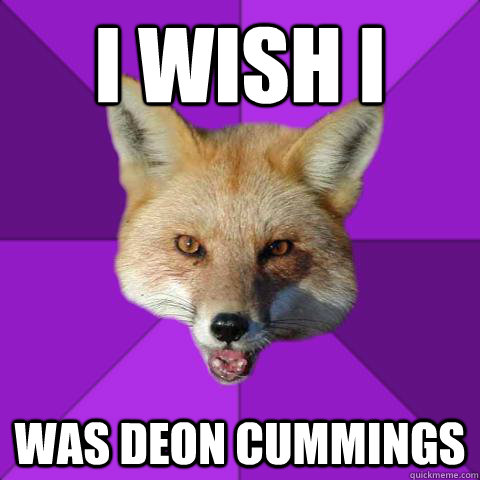 I WISH I WAS DEON CUMMINGS  Forensics Fox