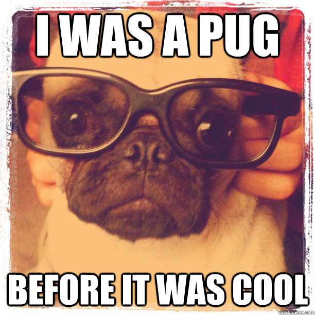 I was a Pug before it was cool  Hipster Pug