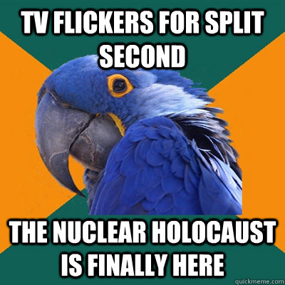 TV Flickers for split second the Nuclear holocaust is finally here  Paranoid Parrot
