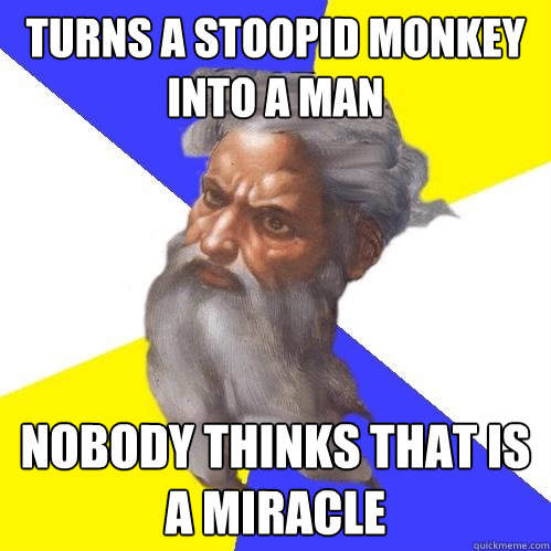 Turns a stoopid Monkey into a man nobody thinks that is a miracle   Advice God