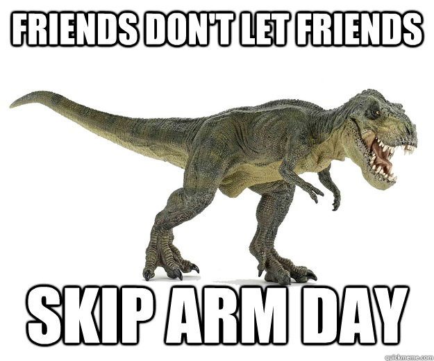 friends don't let friends skip arm day - friends don't let friends skip arm day  LeifLeifLeffe