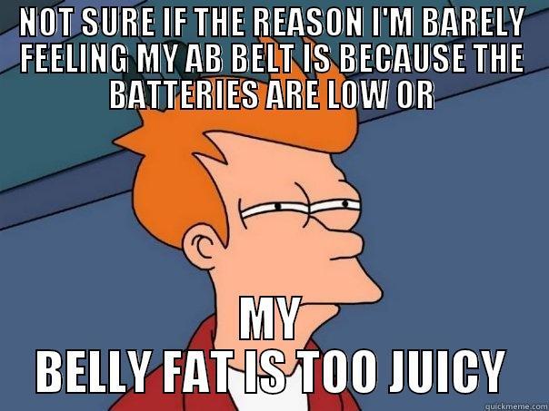NOT SURE IF THE REASON I'M BARELY FEELING MY AB BELT IS BECAUSE THE BATTERIES ARE LOW OR MY BELLY FAT IS TOO JUICY Futurama Fry
