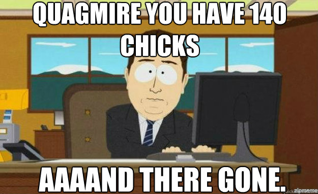 quagmire you have 140 chicks AAAAND THERE GONE.  aaaand its gone