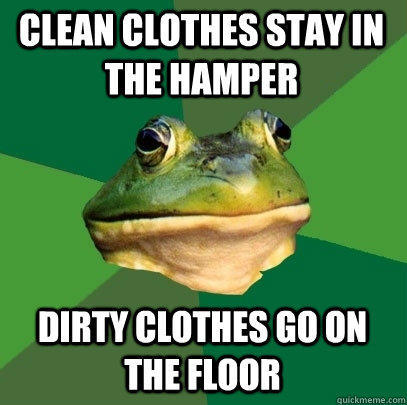 Clean clothes stay in the hamper Dirty clothes go on the floor - Clean clothes stay in the hamper Dirty clothes go on the floor  Foul Bachelor Frog