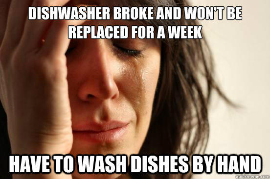 Dishwasher broke and won't be replaced for a week Have to wash dishes by hand  First World Problems