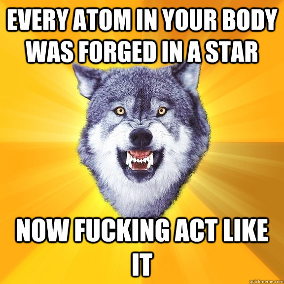 Every atom in your body was forged in a star now fucking act like it  Courage Wolf