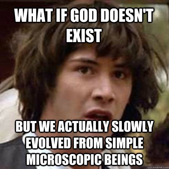 What if god doesn't exist but we actually slowly evolved from simple microscopic beings - What if god doesn't exist but we actually slowly evolved from simple microscopic beings  conspiracy keanu