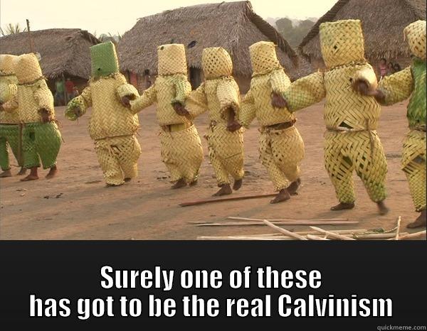  SURELY ONE OF THESE HAS GOT TO BE THE REAL CALVINISM Misc