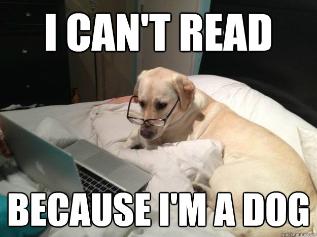 I Can't Read Because I'm a Dog - I Can't Read Because I'm a Dog  Bailey Dog