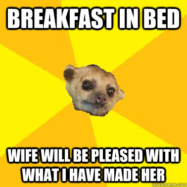 Breakfast in bed Wife will be pleased with what I have made her - Breakfast in bed Wife will be pleased with what I have made her  Kind Husband Kinkajou