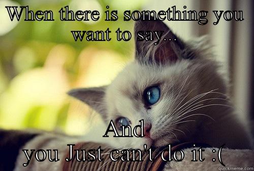 When there is something you want to say....sigh - WHEN THERE IS SOMETHING YOU WANT TO SAY... AND YOU JUST CAN'T DO IT :( First World Problems Cat