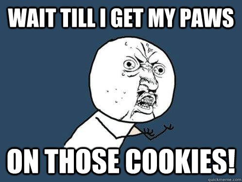 wait till i get my paws  on those cookies!  Y U No